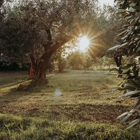 La Dolce Vita Zen-3